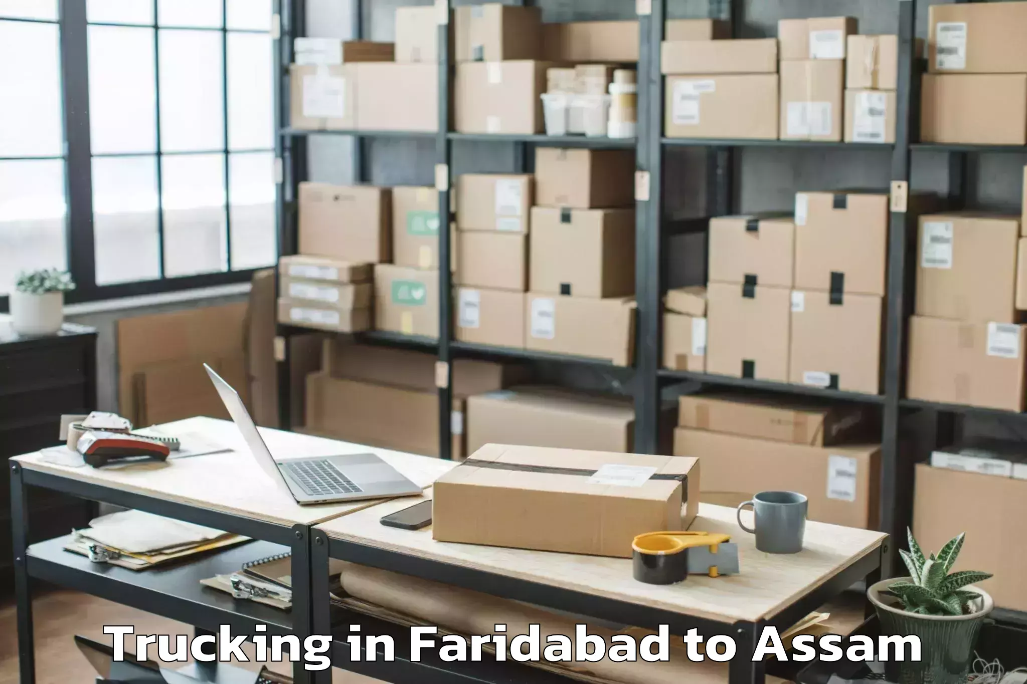 Easy Faridabad to Doboka Trucking Booking